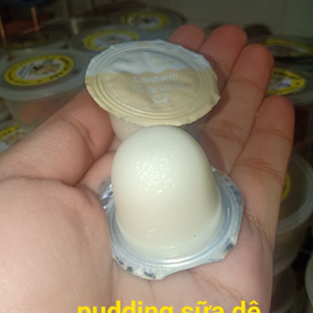 Pudding sữa dê