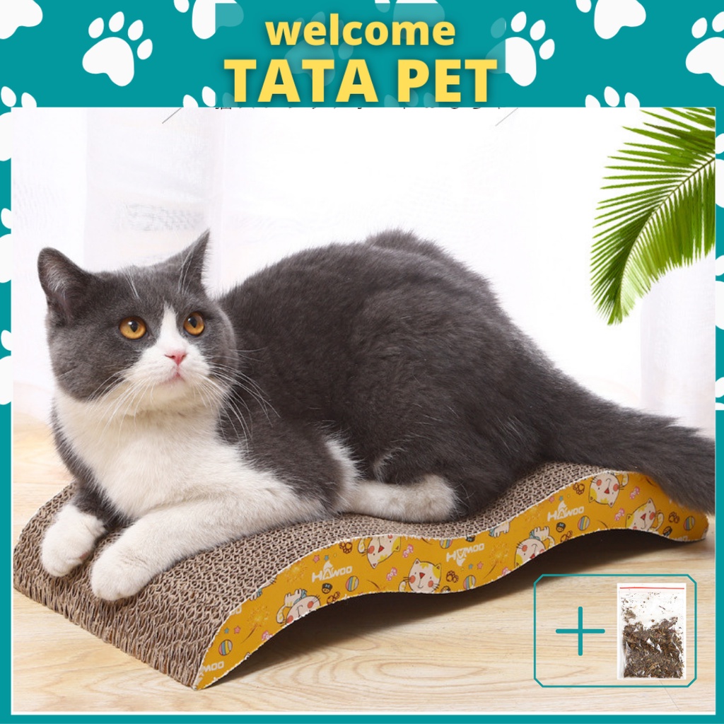 Bàn cào móng cho mèo tặng kèm catnip giá rẻ - giúp mài mòn bớt móng giảm căng thẳng (CM13.5) TATAPET