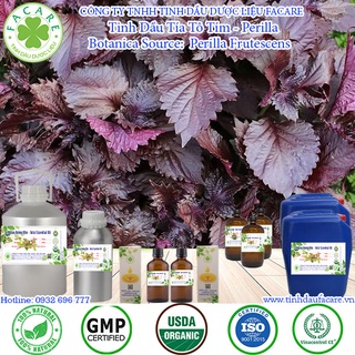Tinh dầu Tía Tô Tím Perilla essential oil - 10ml