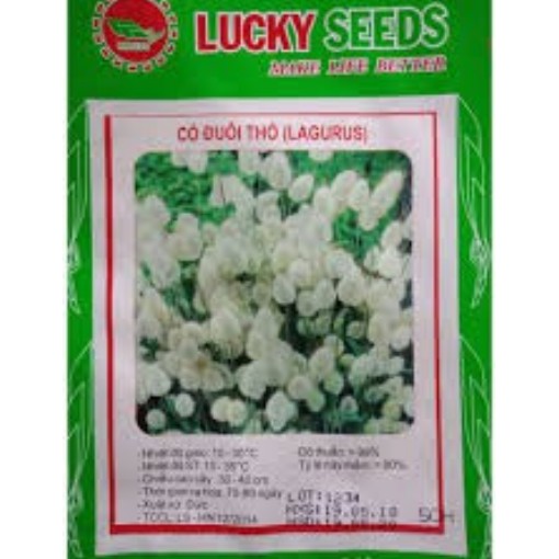 HẠT GIỐNG CỎ ĐUÔI THỎ GÓI 0,2G