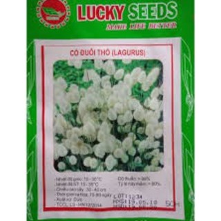 HẠT GIỐNG CỎ ĐUÔI THỎ GÓI 0,2G
