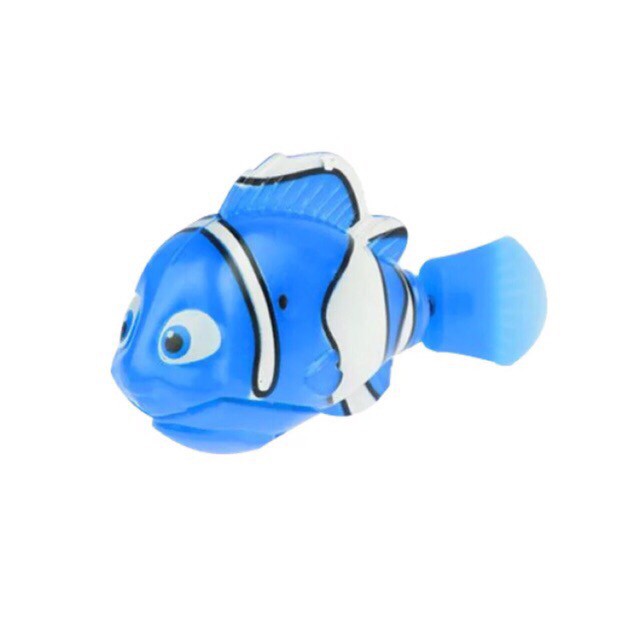 Cá cảnh ROBO, RẺ VÔ ĐỊCH