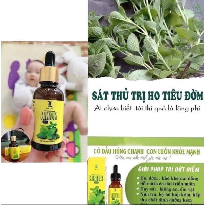 DẦU HÚNG CHANH MINION