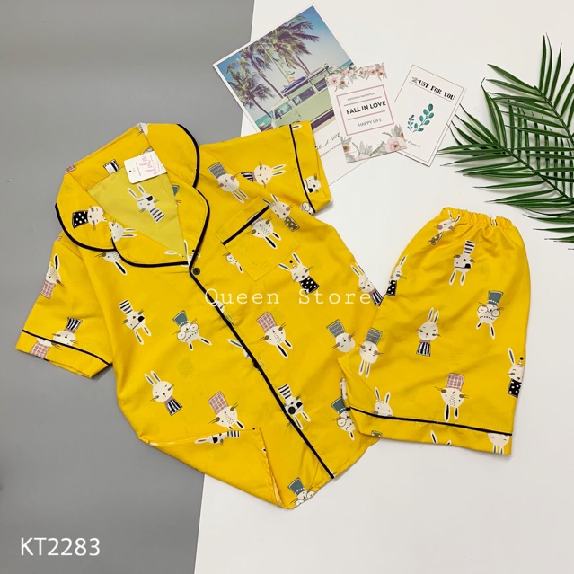 [Mã WA1606 giảm 15% đơn 99k] Bộ kate thái Cộc đùi hàng có size | BigBuy360 - bigbuy360.vn