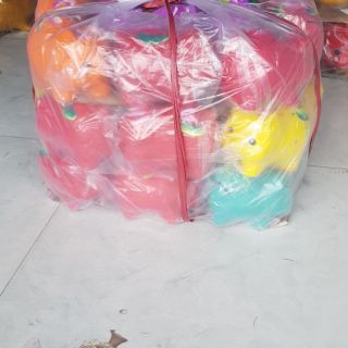 Heo đất nhiều màu.