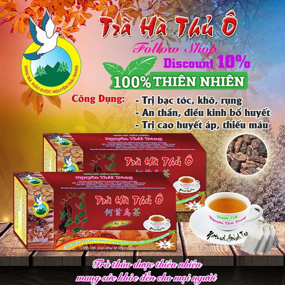 Trà Hà Thủ Ô Trị Bạc Tóc (Hộp 50 Túi Lọc X 2g)- Nguyên Thái Trang – Thảo Dược Thiên Nhiên – Tốt Cho Sức Khỏe