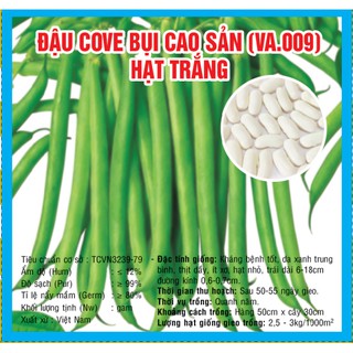 Gói 20gr hạt giống đậu cove trắng