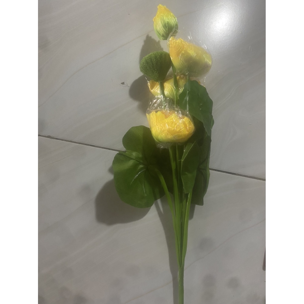 combo hoa sen lụa - hoa sen trang trí
