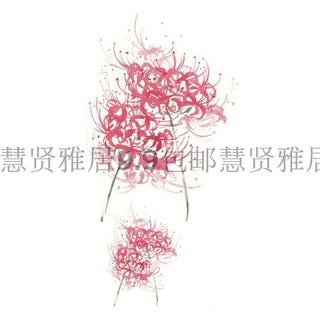 Hình xăm hoa bỉ ngạn M3