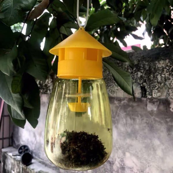 combo bẫy ruồi vàng- hũ diệt ruồi  vàng chất liệu nhựa tốt + thuốc dẫn dụ