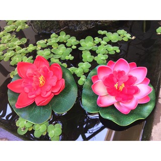 [ Chọn màu ngẫu nhiên] Bông Sen Nổi Trang Trí Hồ Cá