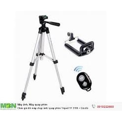 Bộ 1 Tripod TF-3110 kèm 1 Kẹp điện thoại ( tặng 1 Remote điều khiển từ xa)