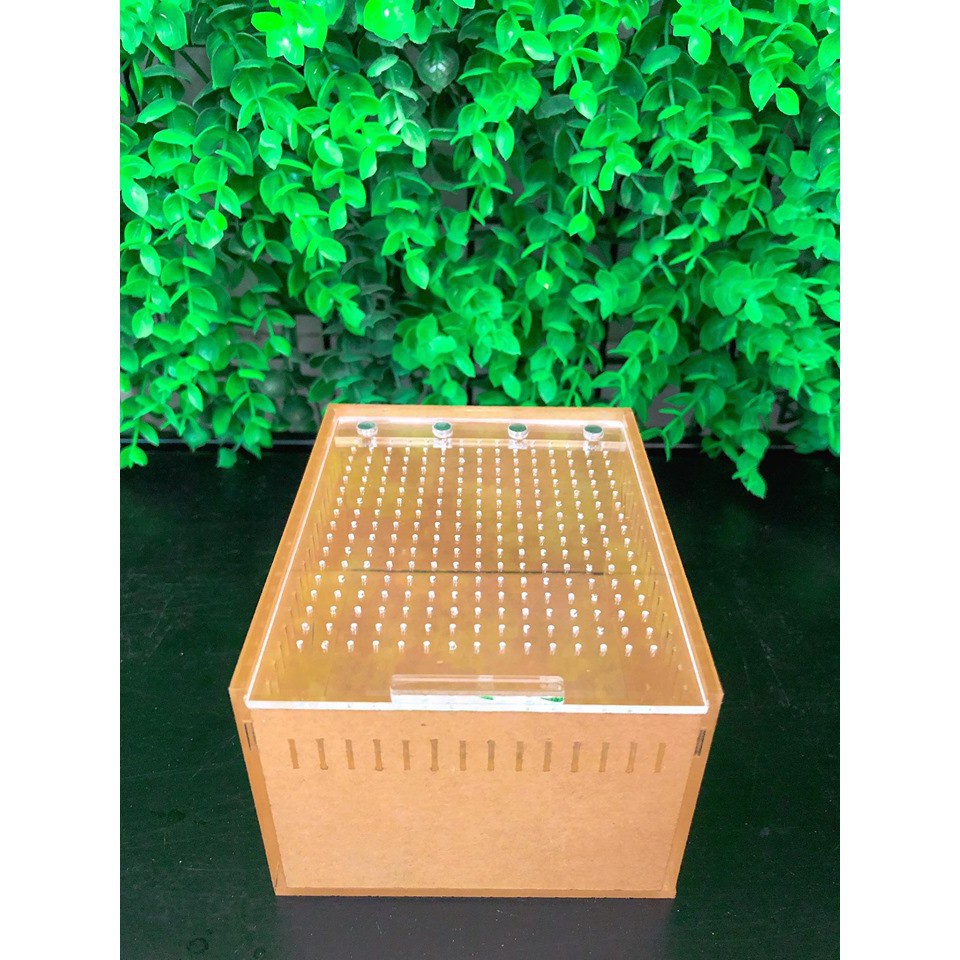 Hộp Nuôi Nhện/Bọ Cạp/ Rết kích thước 10,5-8,5-6cm