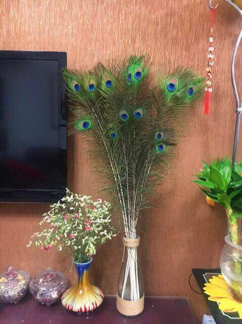 Lông công tự nhiên- 80-90cm, mắt đẹp loại vừa | BigBuy360 - bigbuy360.vn