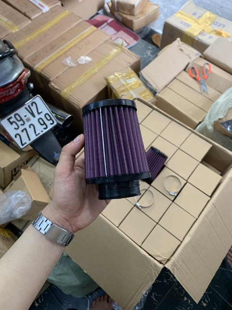 Lọc gió trụ tím