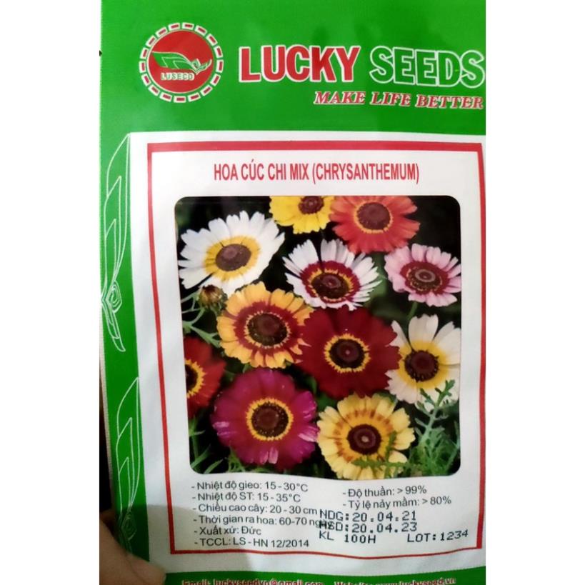 100H - HẠT GIỐNG HOA CÚC CHI MIX MÀU nhập khẩu Đức