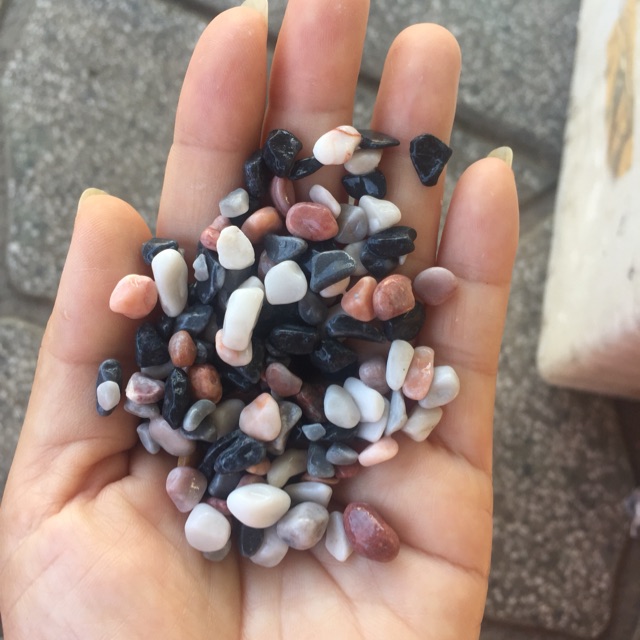 Sỏi ba màu