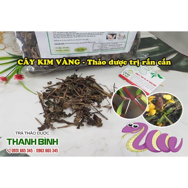 Cây Kim Vàng 500g Khô - Đông Y Thanh Bình