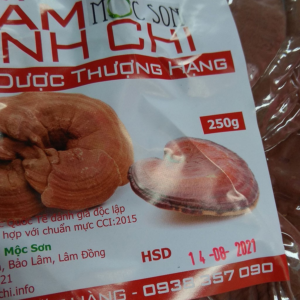 250G NẤM HỒNG CHI THƯỢNG HẠNG MỘC SƠN