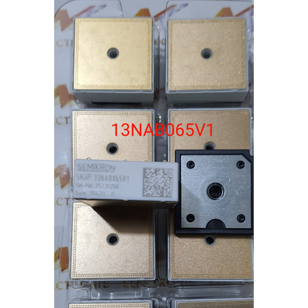 Linh kiện công xuất SKIIP13NAB065V1 Chính hãng mới 100% (con)