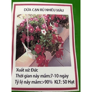 Hạt giống Hoa dừa cạn ☘️