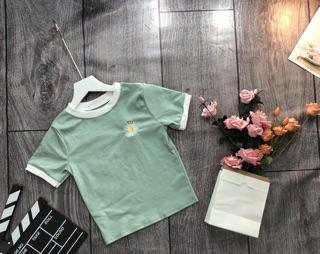 Áo croptop thêu hoa cúc