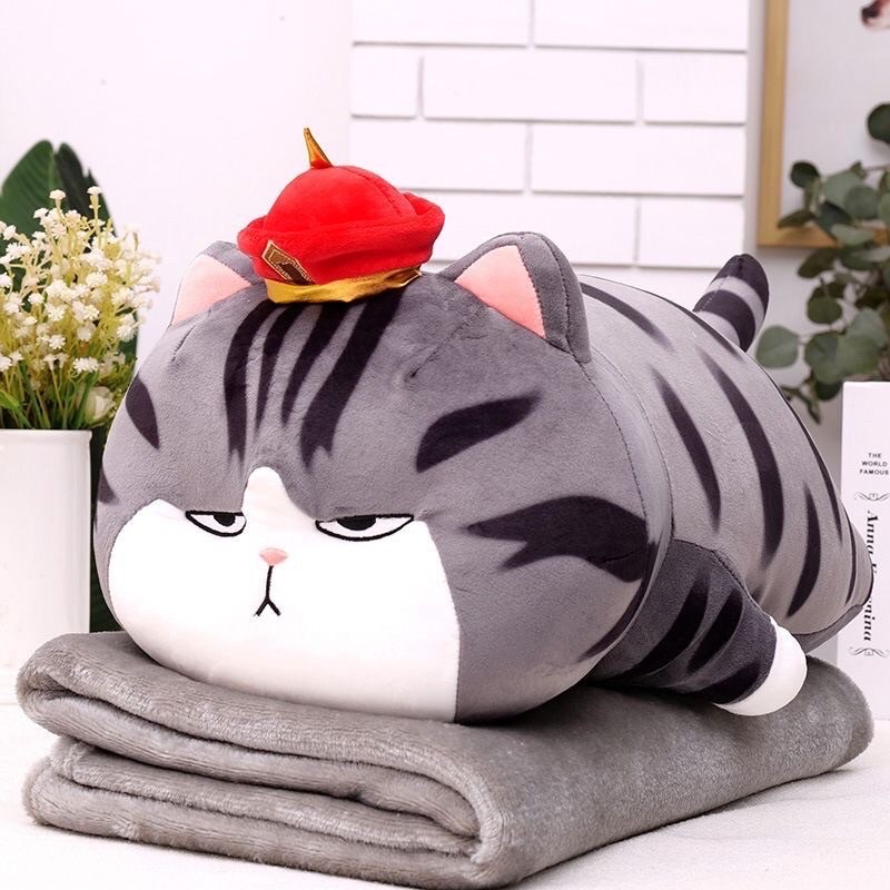 Bộ chăn gối văn phòng mèo hoàng thượng