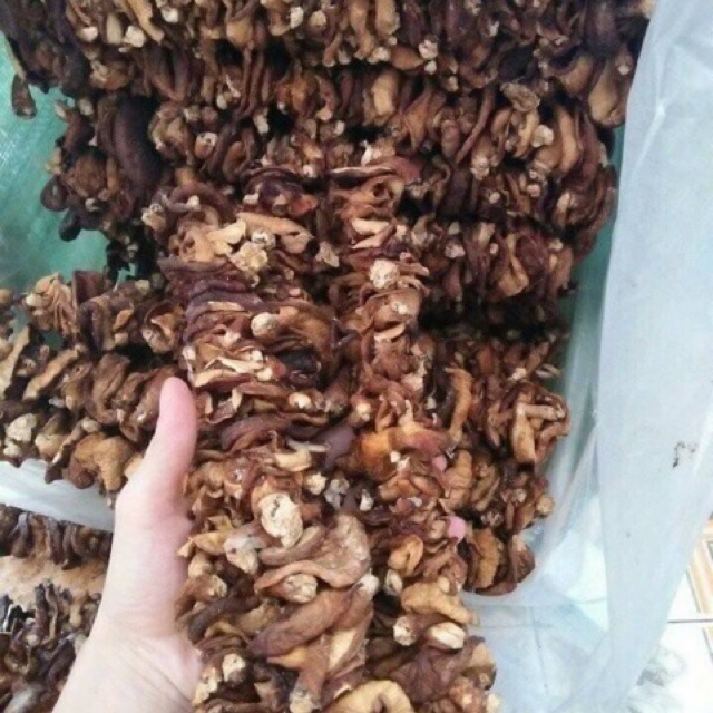 500g NẤM HƯƠNG RỪNG SA PA loại 1