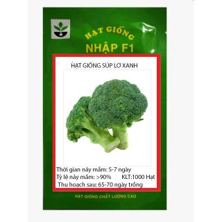 1000 HẠT GIỐNG SÚP LƠ XANH CHỊU NHIỆT NẢY MẦM CỰC TỐT