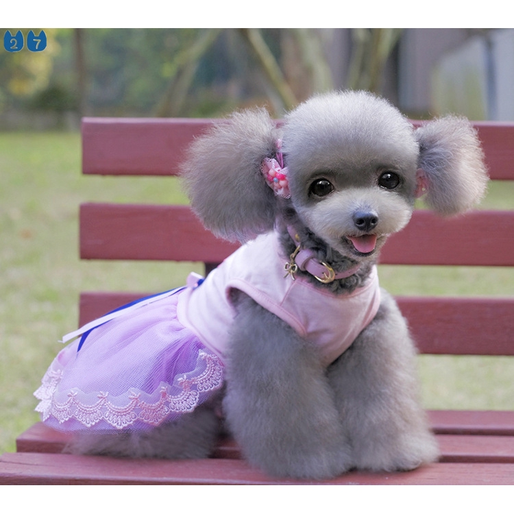 {27Pets} Váy Và Váy Phong Cách Mới Mùa Xuân Hè Cho Thú Cưng / Mèo / Gấu Teddy Bomei