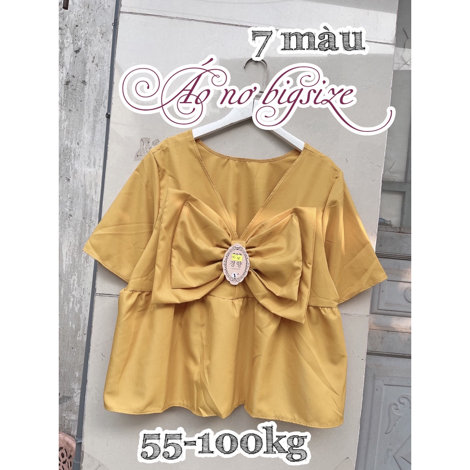 Áo nơ bigsize 7 màu