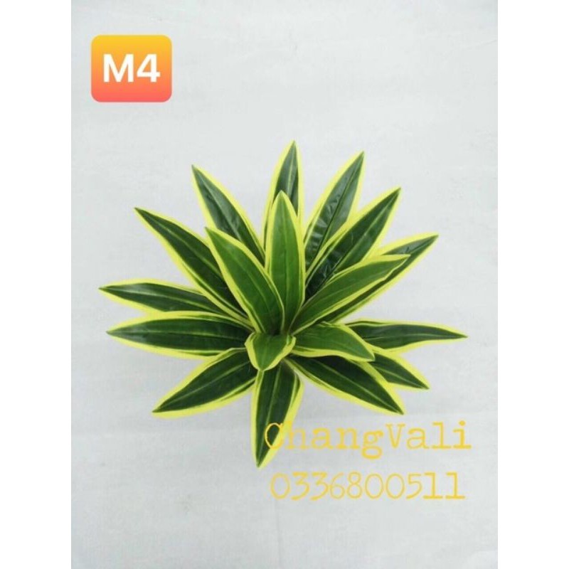 Cây giả - cây trang trí loại lớn - nhiều mẫu