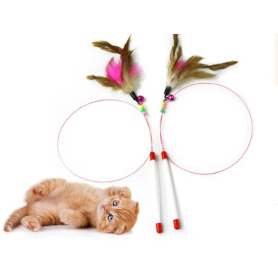 Cần câu cho mèo - Đồ chơi mèo