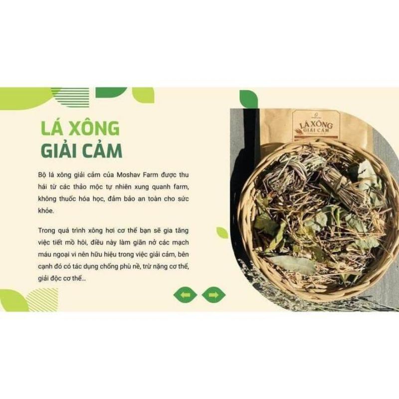 Lá Xông Giải Cảm Khô Sấy Lạnh The Moshav Farm
