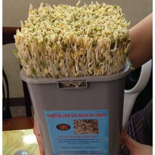 Máy Làm Giá Đỗ GV102