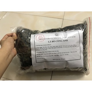 [NOWSHIP] Bồ công anh - Giảm tắc tia sữa - Viện dược liệu (NOW SHIP tại HN) - 300gr
