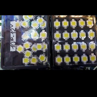 5 chip led 10w /12v màu trắng