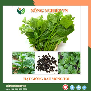 Hạt giống rau Mồng tơi