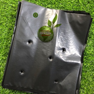 50 TÚI BẦU CHUYÊN DÙNG ƯƠM CÂY GIỐNG ĂN QUẢ(20x25cm)