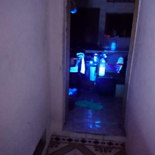 Đèn pin UV