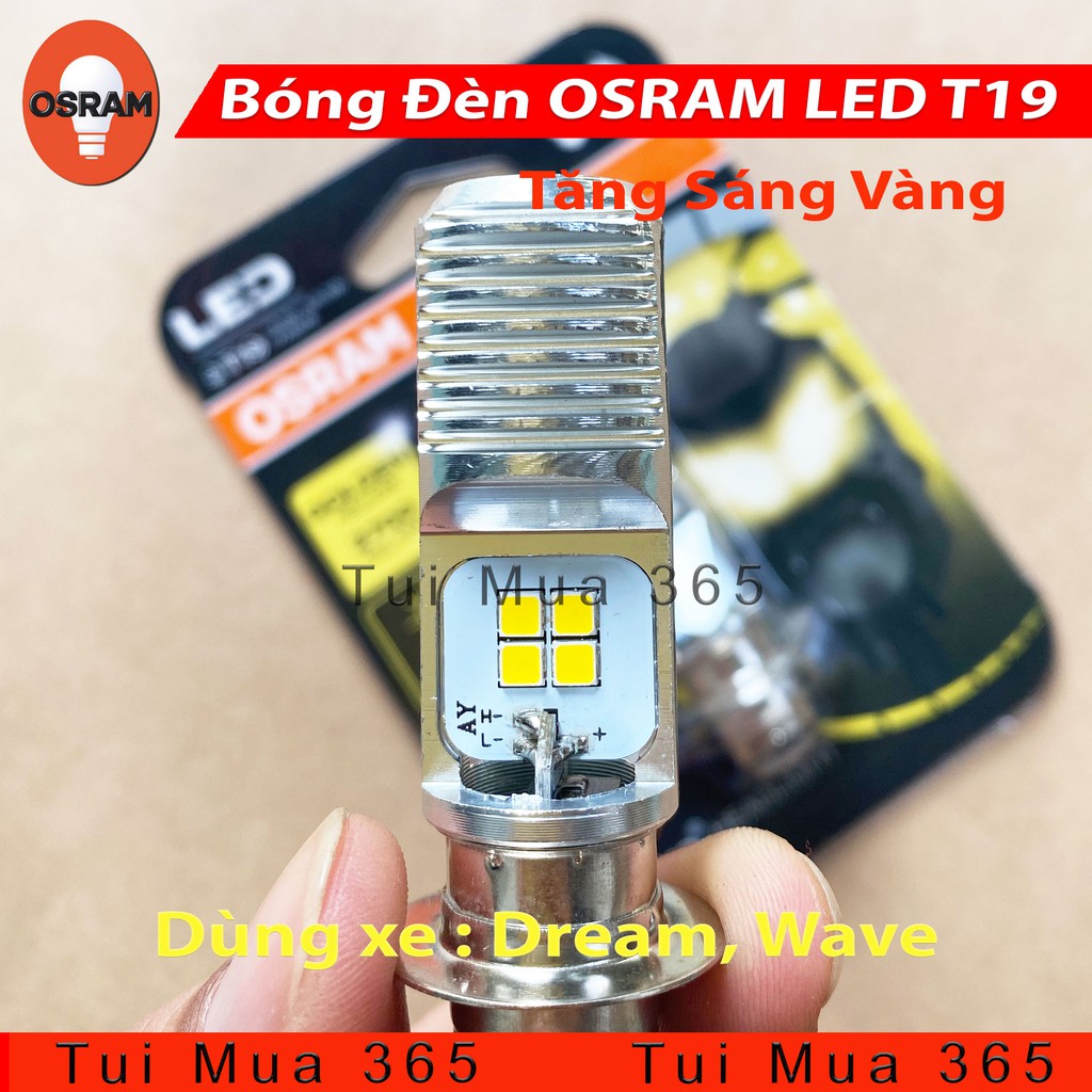 Bóng đèn LED tăng sáng vàng OSRAM T19 Dream, Wave - 100% Hàng chính hãng