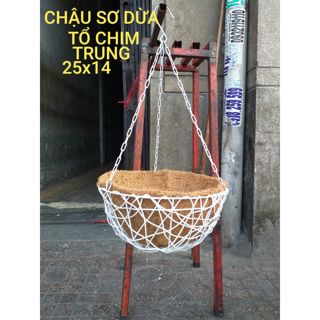 Chậu treo sơ dừa