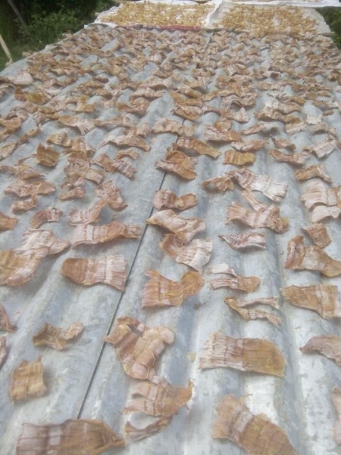 1Kg măng khô Bình Phước loại 1 | BigBuy360 - bigbuy360.vn