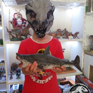 Mô hình cá mập Megalodon size lớn hãng PNSO