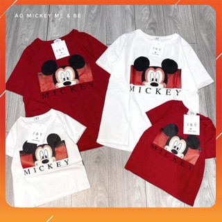 bán sỉ áo micky mẹ và bé 2 màu hàng bao chất
