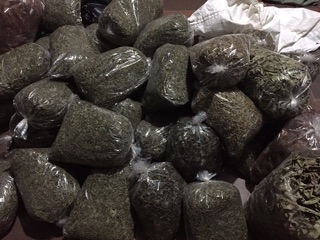 500g trinh nữ hoàng cung