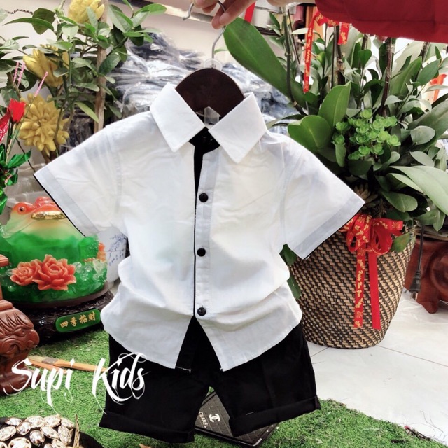 Bộ sơmi