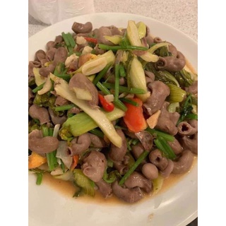 BAO TỬ CÁ BASA