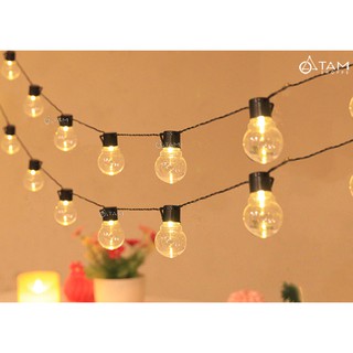 [LOẠI 1] Dây đèn led pingpong bóng tròn 5m 20Led L-PPONG