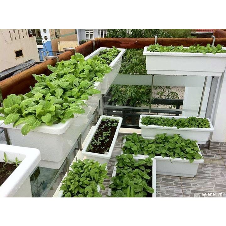 Chậu, máng dài chữ nhật trồng hoa, rau tiện lợi, gọn gàng kích thước 48x20x16cm